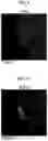 Fig. 08 - Lithium composite oxide, positive electrode active material and lithium secondary battery comprising the same