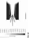 Fig. 05 - Method of producing soot