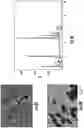 Fig. 09 - High temperature sealant and methods thereof