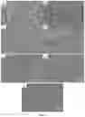 Fig. 05 - Translucent nanocrystalline glass ceramic