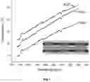 Fig. 06 - Translucent nanocrystalline glass ceramic