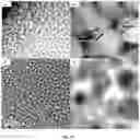 Fig. 08 - Translucent nanocrystalline glass ceramic