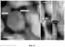 Fig. 09 - Translucent nanocrystalline glass ceramic