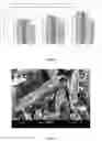Fig. 04 - SUSTAINABLE CONSTRUCTION MATERIAL AND METHOD OF PREPARATION AND USE THEREOF