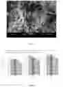 Fig. 05 - SUSTAINABLE CONSTRUCTION MATERIAL AND METHOD OF PREPARATION AND USE THEREOF