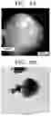 Fig. 07 - Method of preparing cerium boride powder