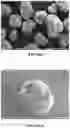 Fig. 05 - High energy reduced sensitivity tactical explosives