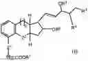 Fig. 01 - Controlled release pharmaceutical formulations