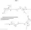 Fig. 06 - Controlled release pharmaceutical formulations