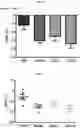 Fig. 16 - Small molecule AMPK activators