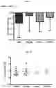 Fig. 19 - Small molecule AMPK activators