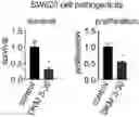 Fig. 01 - COMPOSITIONS AND METHODS FOR INHIBITING RETICULON 4
