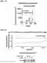 Fig. 05 - COMPOSITIONS AND METHODS FOR INHIBITING RETICULON 4
