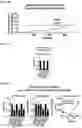 Fig. 06 - COMPOSITIONS AND METHODS FOR INHIBITING RETICULON 4