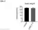 Fig. 14 - COMPOSITIONS AND METHODS FOR INHIBITING RETICULON 4