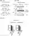 Fig. 21 - COMPOSITIONS AND METHODS FOR INHIBITING RETICULON 4