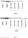 Fig. 03 - SUBSTITUTED BIARYL SULFONAMIDES AND THE USE THEREOF