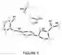 Fig. 06 - NOVEL CRYSTALLINE FORMS
