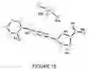 Fig. 16 - NOVEL CRYSTALLINE FORMS