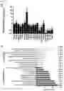 Fig. 04 - Application of Imidazopyridine Derivatives in Regenerative Medicine