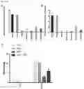 Fig. 05 - Application of Imidazopyridine Derivatives in Regenerative Medicine