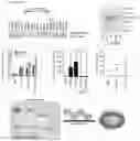 Fig. 30 - Application of Imidazopyridine Derivatives in Regenerative Medicine