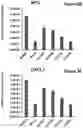 Fig. 06 - Quinoline-based compounds and methods of inhibiting CDK8/19