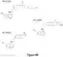 Fig. 15 - Quinoline-based compounds and methods of inhibiting CDK8/19