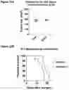 Fig. 19 - Quinoline-based compounds and methods of inhibiting CDK8/19