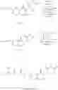 Fig. 45 - Piperidine-2,6-dione derivative and use thereof