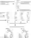 Fig. 01 - Methods for treating melanoma using small molecules