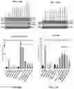 Fig. 28 - Methods for treating melanoma using small molecules