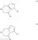 Fig. 04 - Bicyclic heterocyclic derivatives