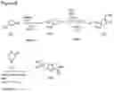 Fig. 09 - Process for preparing BTK inhibitors