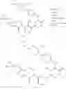 Fig. 65 - Process for preparing BTK inhibitors