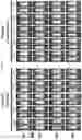 Fig. 09 - Substituted pyrrolo[1,2-a]quinoxalin-4(5H)-ones as CX3CR1 antagonists