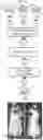 Fig. 27 - Substituted pyrrolo[1,2-a]quinoxalin-4(5H)-ones as CX3CR1 antagonists