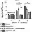 Fig. 31 - Substituted pyrrolo[1,2-a]quinoxalin-4(5H)-ones as CX3CR1 antagonists