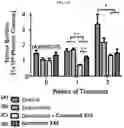 Fig. 32 - Substituted pyrrolo[1,2-a]quinoxalin-4(5H)-ones as CX3CR1 antagonists
