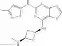 Fig. 136 - IRAK4 inhibitor and use thereof
