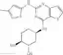 Fig. 46 - IRAK4 inhibitor and use thereof