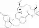 Fig. 145 - Compounds that inhibit Mcl-1 protein