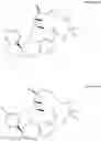 Fig. 187 - Compounds that inhibit Mcl-1 protein
