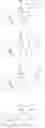 Fig. 201 - Compounds that inhibit Mcl-1 protein