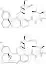 Fig. 29 - Compounds that inhibit Mcl-1 protein