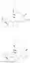 Fig. 33 - Compounds that inhibit Mcl-1 protein