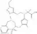 Fig. 340 - Bisaryl heterocycles as NRF2 activators