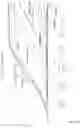 Fig. 19 - Bifunctional alpha-synuclein binding agents and uses thereof
