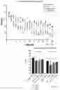 Fig. 28 - Bifunctional alpha-synuclein binding agents and uses thereof