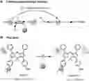 Fig. 01 - Bioreducible N-oxide-based probes for imaging of hypoxia